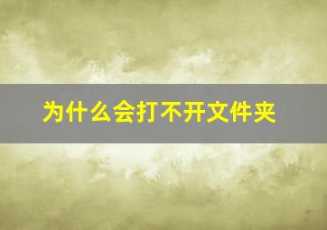 为什么会打不开文件夹