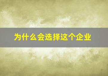 为什么会选择这个企业