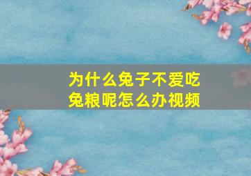 为什么兔子不爱吃兔粮呢怎么办视频