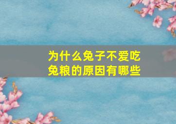 为什么兔子不爱吃兔粮的原因有哪些