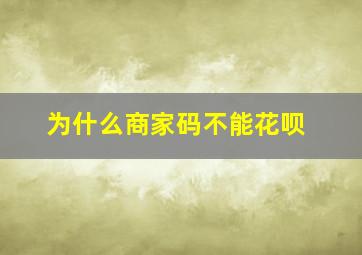 为什么商家码不能花呗