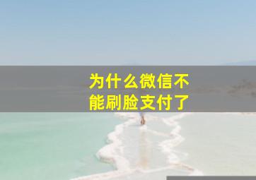 为什么微信不能刷脸支付了