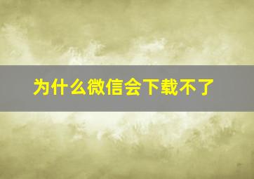 为什么微信会下载不了