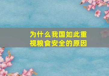 为什么我国如此重视粮食安全的原因