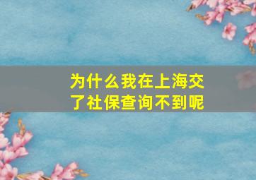 为什么我在上海交了社保查询不到呢