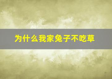 为什么我家兔子不吃草