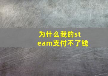 为什么我的steam支付不了钱