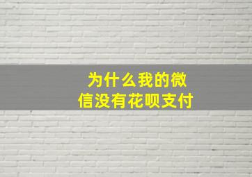 为什么我的微信没有花呗支付