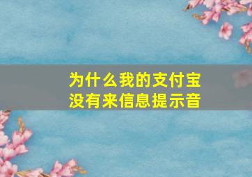 为什么我的支付宝没有来信息提示音