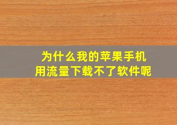 为什么我的苹果手机用流量下载不了软件呢