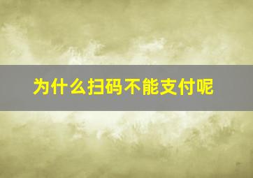 为什么扫码不能支付呢