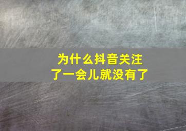 为什么抖音关注了一会儿就没有了