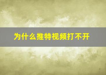 为什么推特视频打不开