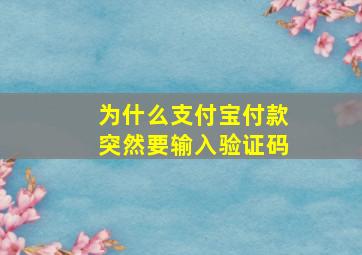 为什么支付宝付款突然要输入验证码