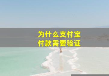 为什么支付宝付款需要验证