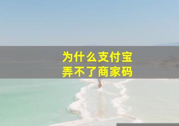 为什么支付宝弄不了商家码