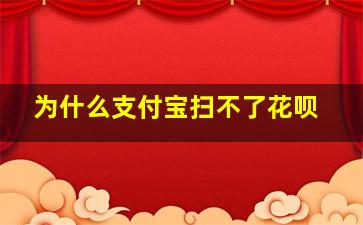 为什么支付宝扫不了花呗