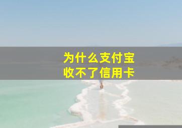 为什么支付宝收不了信用卡