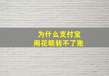 为什么支付宝用花呗转不了账