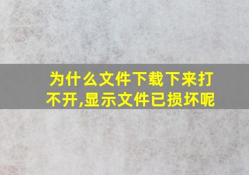 为什么文件下载下来打不开,显示文件已损坏呢