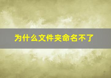 为什么文件夹命名不了