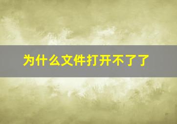 为什么文件打开不了了