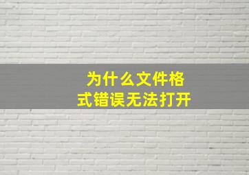 为什么文件格式错误无法打开