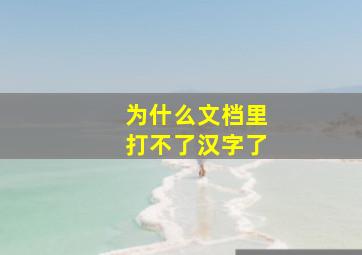 为什么文档里打不了汉字了