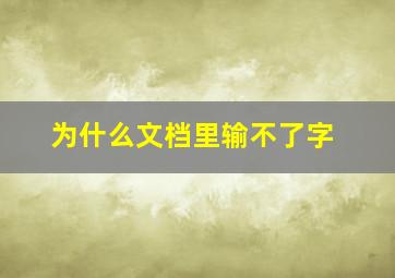 为什么文档里输不了字