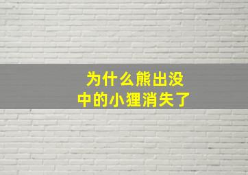 为什么熊出没中的小狸消失了