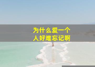 为什么爱一个人好难忘记啊