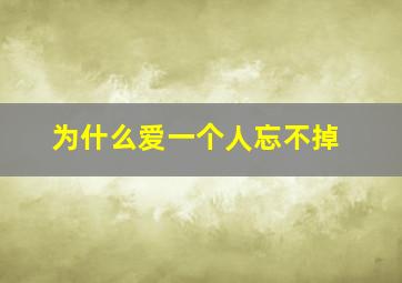 为什么爱一个人忘不掉