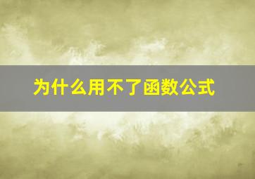 为什么用不了函数公式