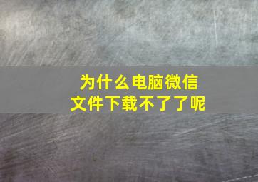 为什么电脑微信文件下载不了了呢