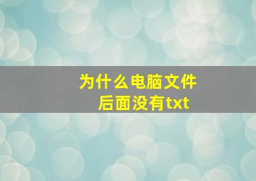 为什么电脑文件后面没有txt