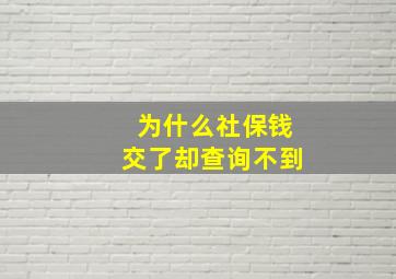 为什么社保钱交了却查询不到