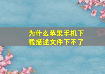 为什么苹果手机下载描述文件下不了