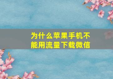 为什么苹果手机不能用流量下载微信