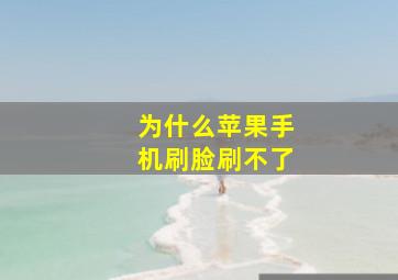 为什么苹果手机刷脸刷不了