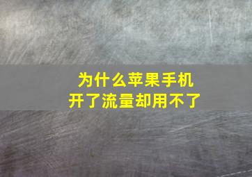 为什么苹果手机开了流量却用不了