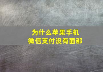 为什么苹果手机微信支付没有面部