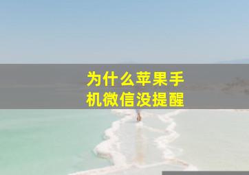 为什么苹果手机微信没提醒