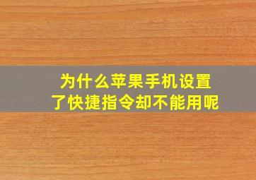 为什么苹果手机设置了快捷指令却不能用呢