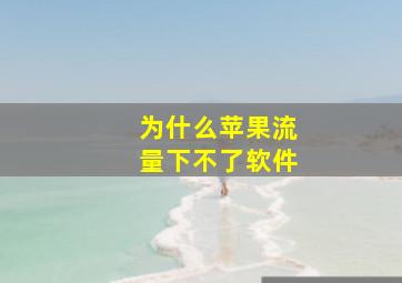 为什么苹果流量下不了软件