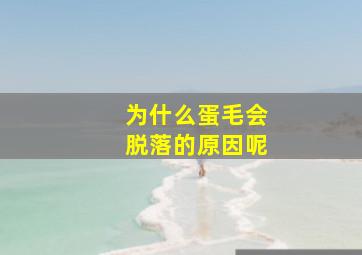 为什么蛋毛会脱落的原因呢