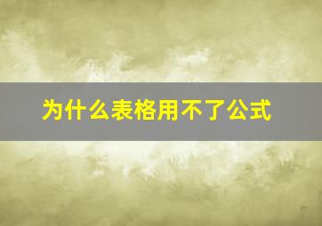 为什么表格用不了公式