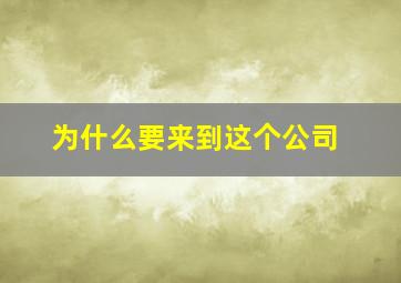 为什么要来到这个公司