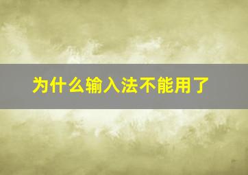 为什么输入法不能用了