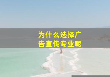 为什么选择广告宣传专业呢