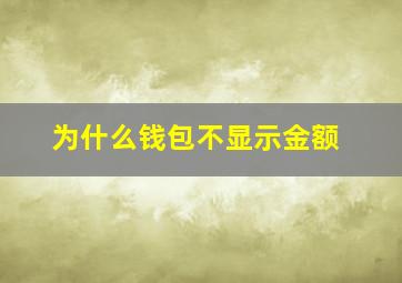 为什么钱包不显示金额